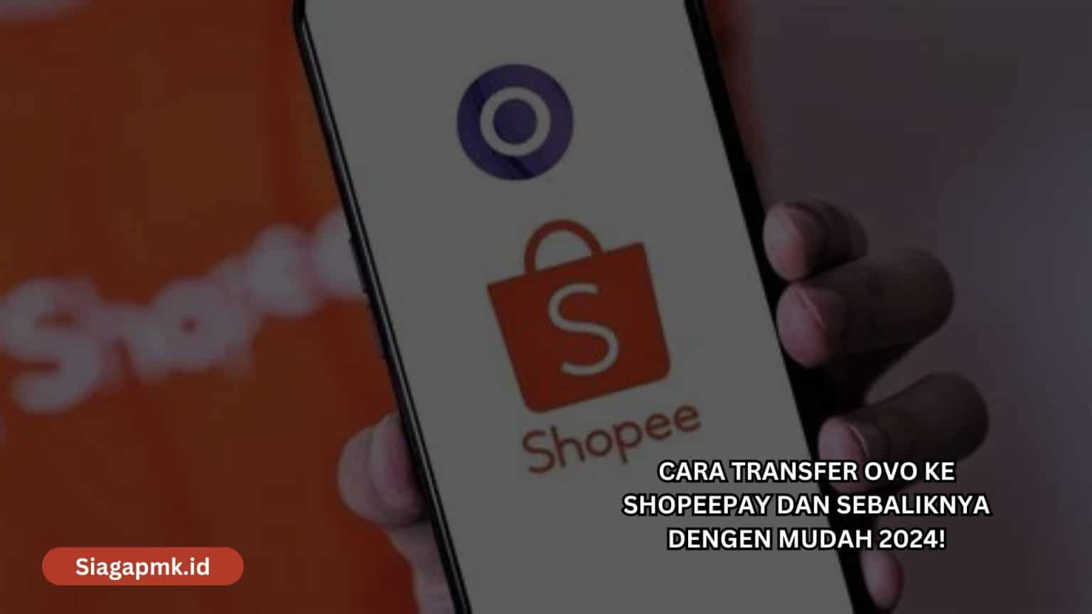 Cara Transfer Ovo Ke Shopeepay Dan Sebaliknya Dengen Mudah 2024 ...